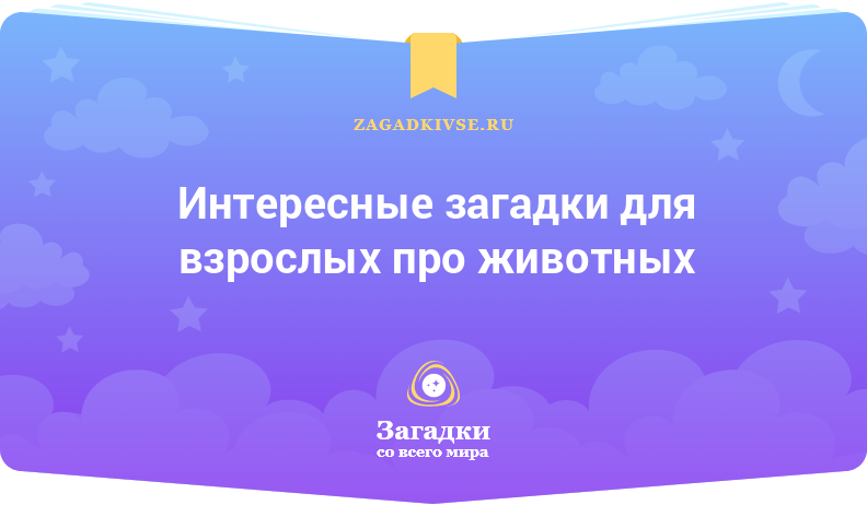 Интересные загадки для взрослых про животных