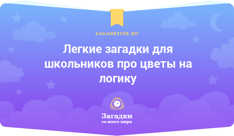 Легкие загадки для школьников про цветы на логику